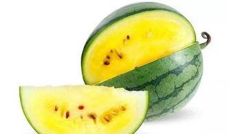 餐厅里面吃瓜,一场美食与八卦的盛宴