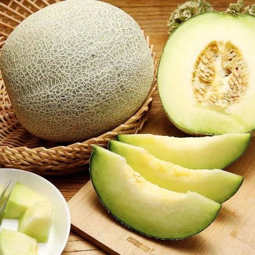 吞刀片吃蜜瓜好吗,一场惊险与甜蜜的味蕾冒险