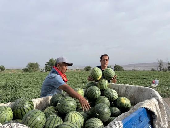 天天吃瓜影视,揭秘娱乐圈幕后故事，带你领略影视圈风云变幻