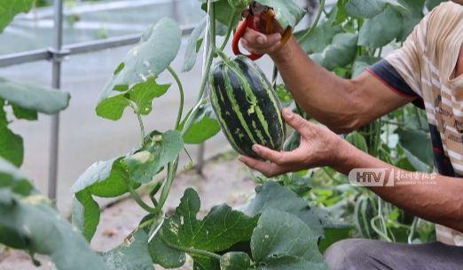 杭州最新吃瓜,网红美食、神秘事件，一网打尽！