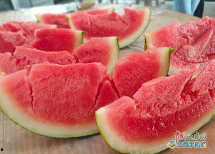 看热闹边吃瓜,揭秘网络热点的背后故事