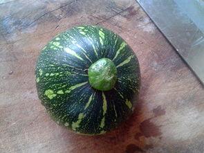 哈密瓜嫩瓜怎么吃才好吃,解锁最佳食用秘诀