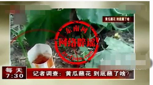 吃瓜东西药水,神奇功效还是神秘陷阱？