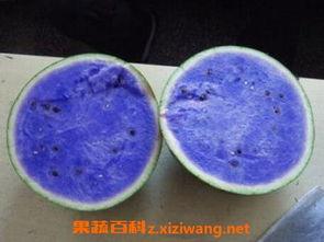 紫瓜怎样吃,探索美味与营养的完美结合