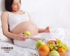 孕妇可以吃荷兰瓜不,荷兰瓜——孕妇的理想选择