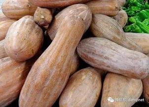 老方瓜咋吃,解锁美味新体验