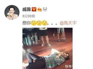 马天宇坐等吃瓜,坐等吃瓜，揭秘娱乐圈幕后故事