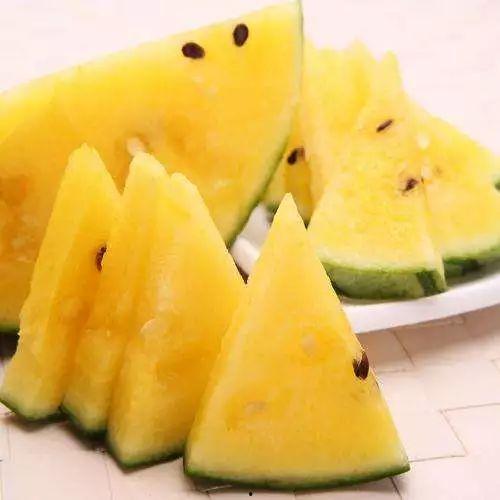 吃能瓜质量好吗,探究吃能瓜的优质品质