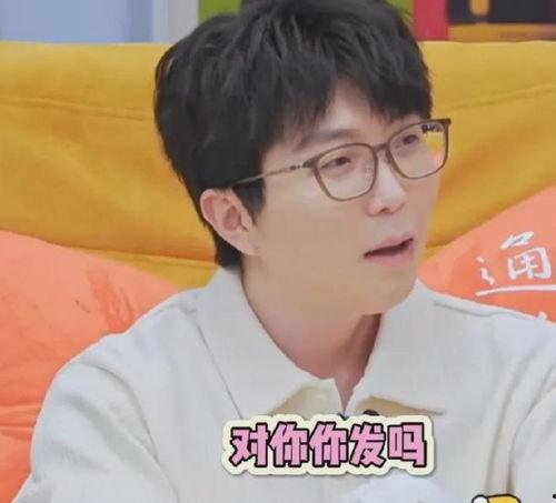 只吃瓜不开腔,揭秘娱乐圈幕后真相
