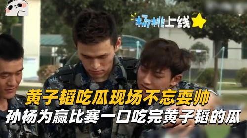 帅气的吃瓜,揭秘娱乐圈幕后故事