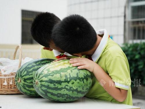 柳州吃瓜,探寻这座城市的“吃瓜”风情